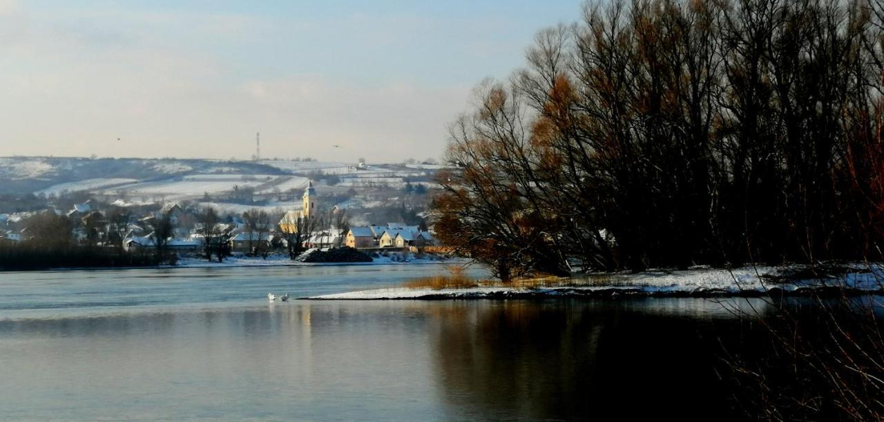 Danube Fairy Vila Futog Exterior foto