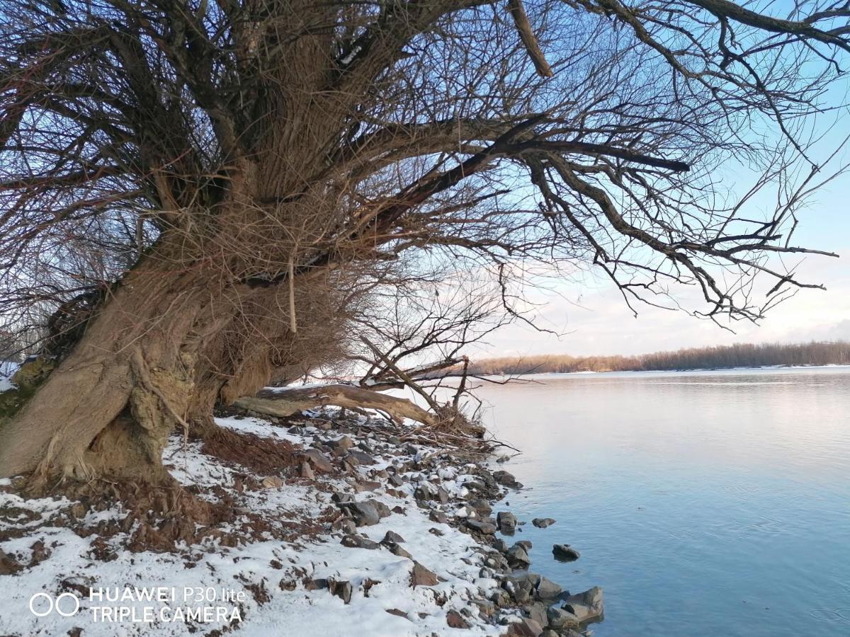 Danube Fairy Vila Futog Exterior foto