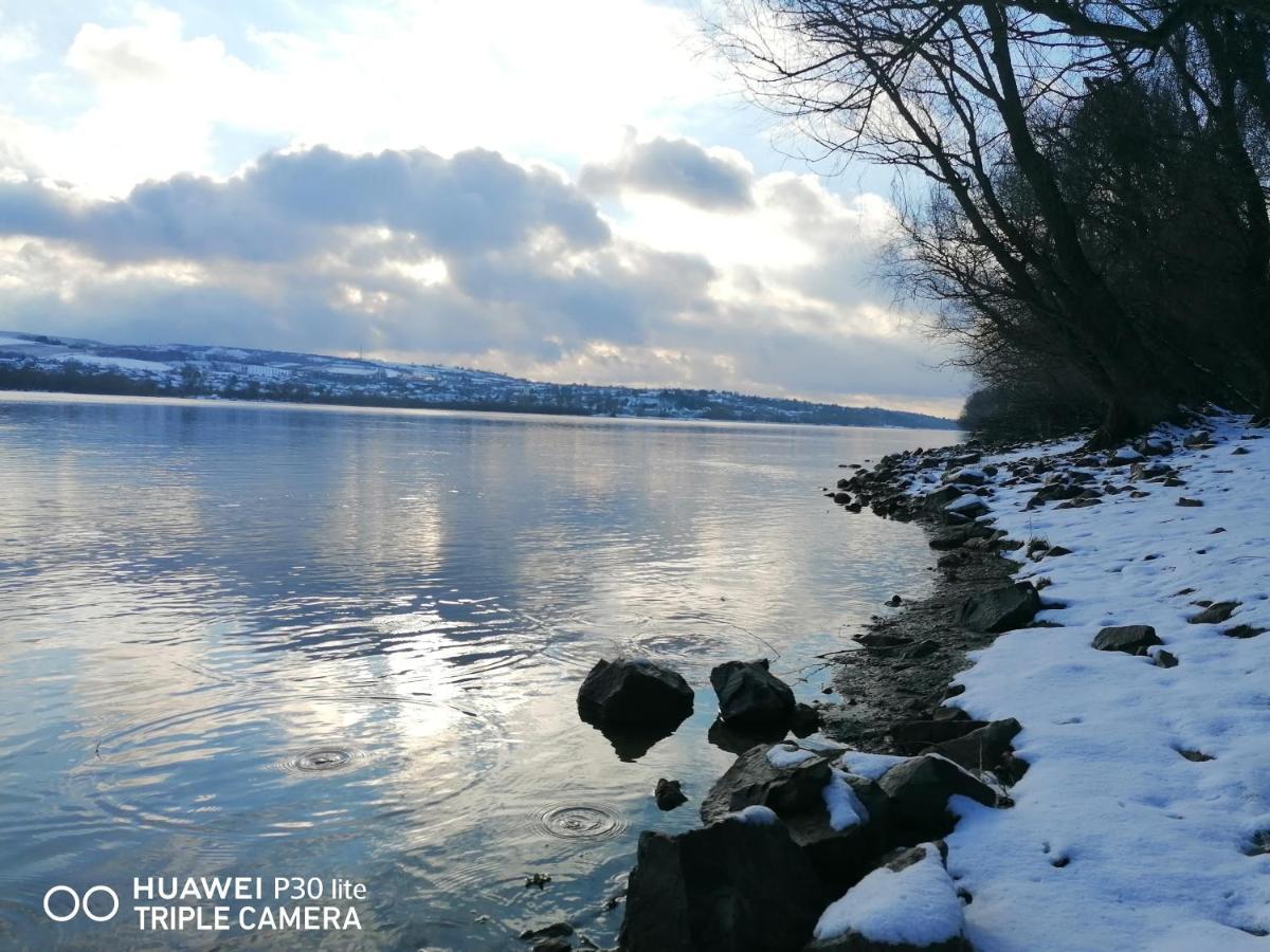 Danube Fairy Vila Futog Exterior foto